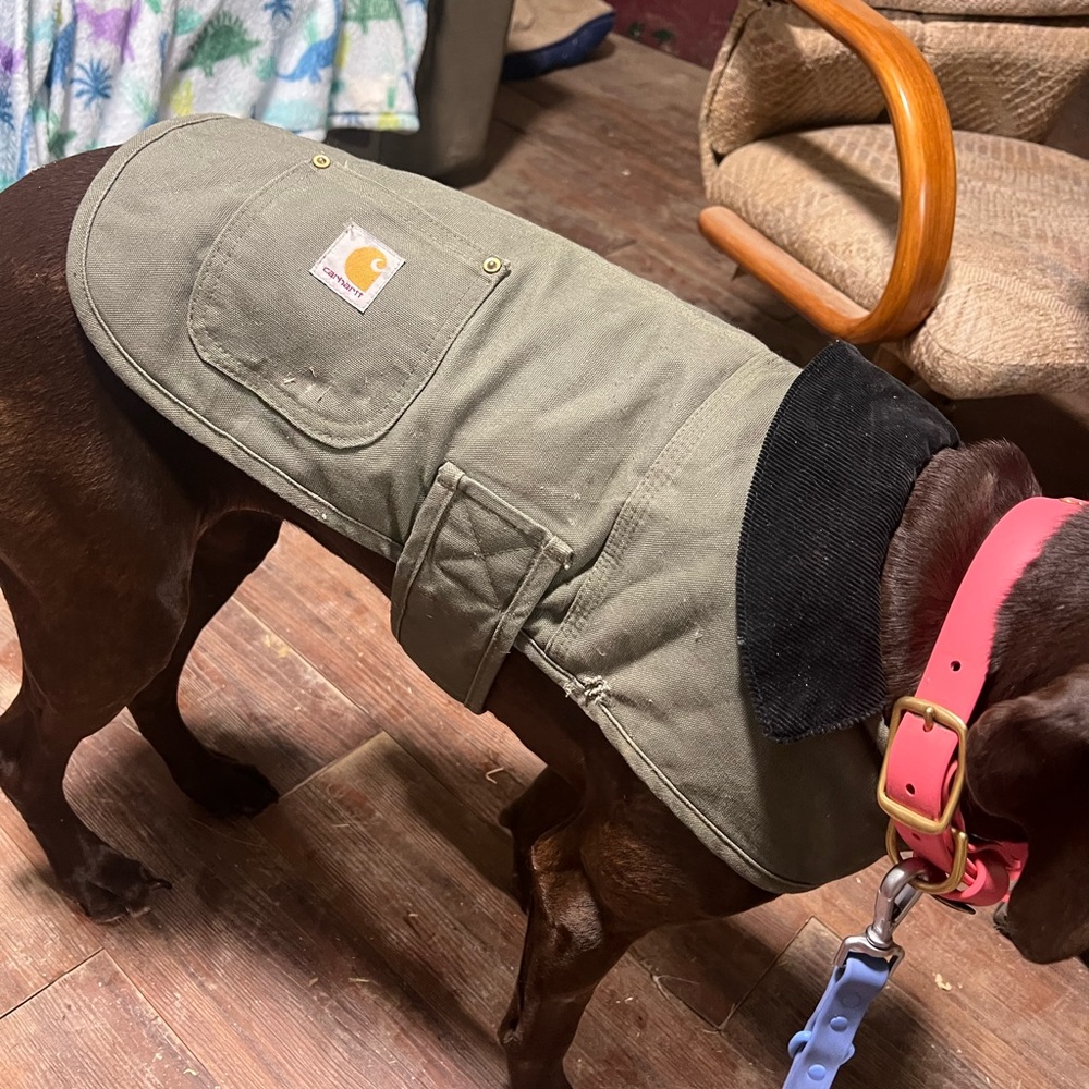 Dog Jacket Carhartt Medium